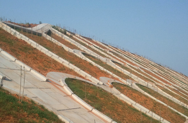 高路堤边坡加固治理措施