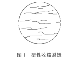 塑性收缩裂缝 塑性收缩裂缝