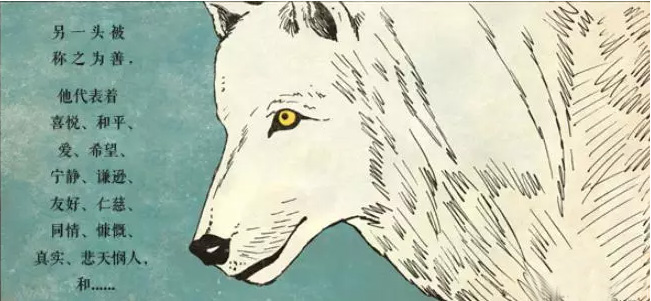 两只狼之间的激战