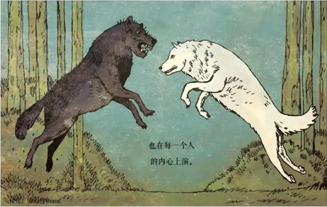 两只狼之间的激战