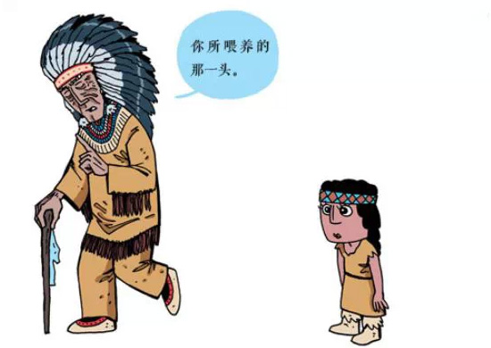 两只狼之间的激战