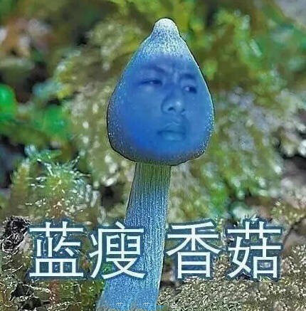 蓝瘦、香菇 蓝瘦、香菇