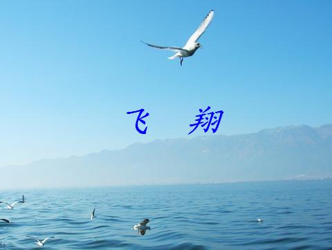 勇敢去面对它 勇敢去面对它