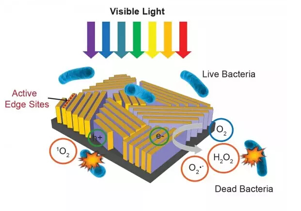 1013-2.jpg 1013-2.jpg