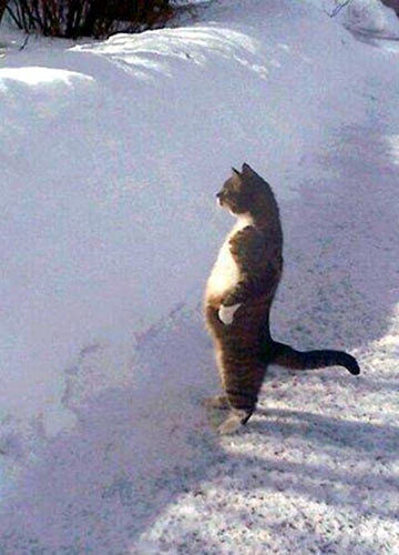 　开展施工项目检查