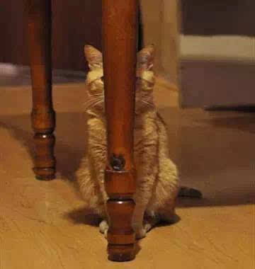 　　施工队违章被发现