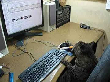 　施工员写技术方案