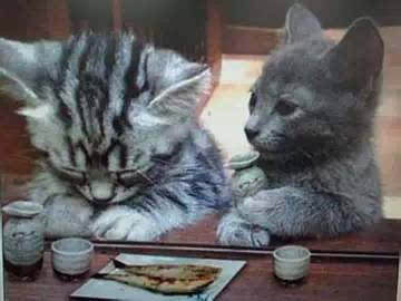 检查考核被扣钱的