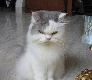 　　听说周末要加班的时候