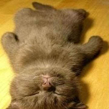 　周末不加班的时候