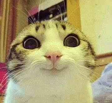 　领导训话的时候