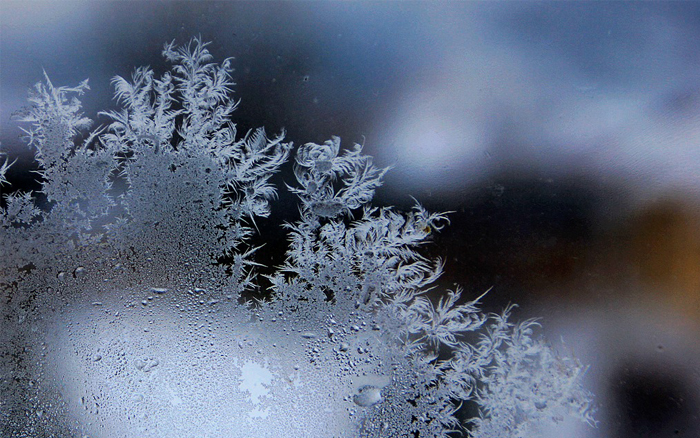 结构胶如何抵御最冷&ldquo;三九&rdquo;天？