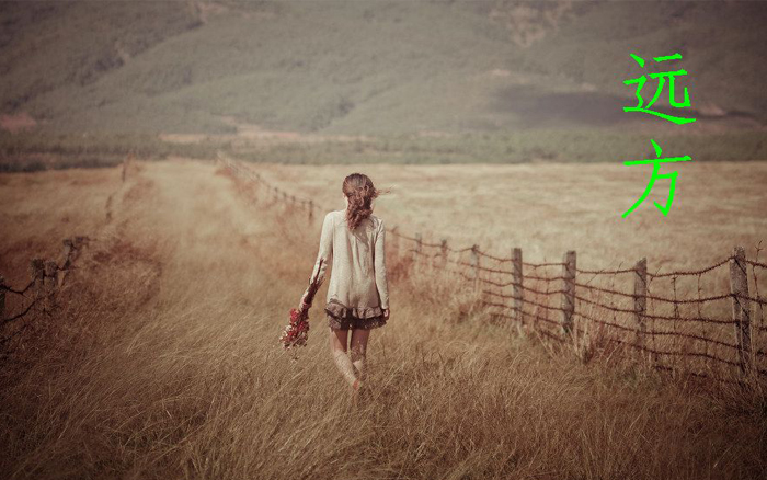 有坦荡荡的远方 有坦荡荡的远方