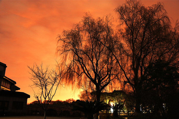 愁脉脉。目断江南江北。烟树重重芳信隔。 愁脉脉。目断江南江北。烟树重重芳信隔。