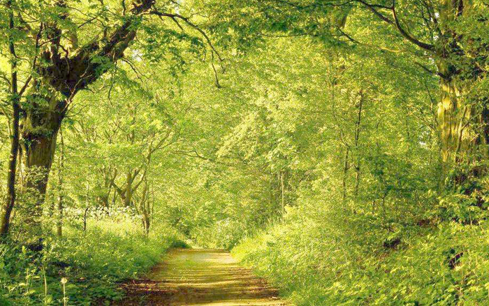 行走山一程,水一程 行走山一程,水一程