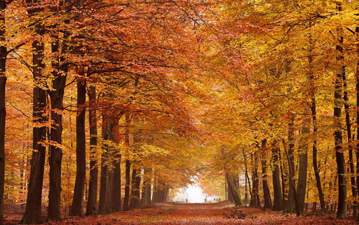 行走山一程,水一程 行走山一程,水一程