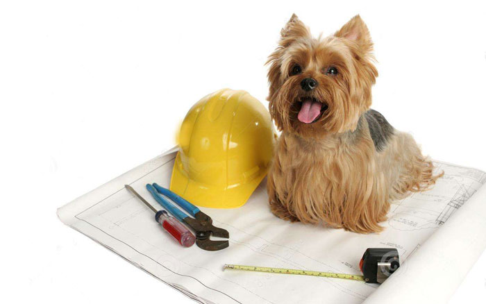 作为建筑狗,不能不知道“建筑老八校” 作为建筑狗,不能不知道“建筑老八校”