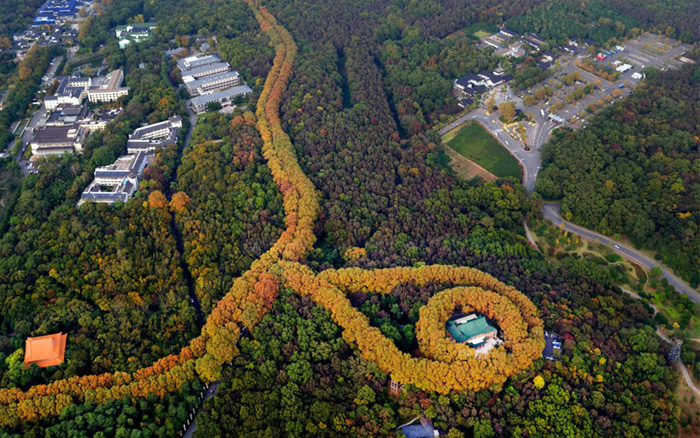 美龄宫的传说 美龄宫的传说