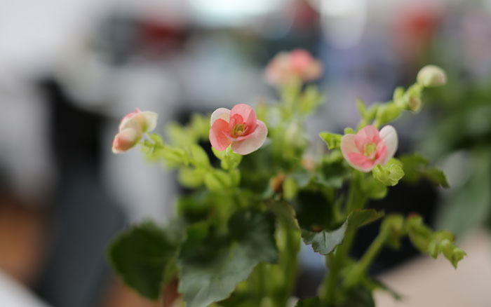 格局大了,才能看到你想要的风景 格局大了,才能看到你想要的风景