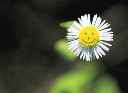 工程人，这样的&ldquo;哥们儿&rdquo;不可交