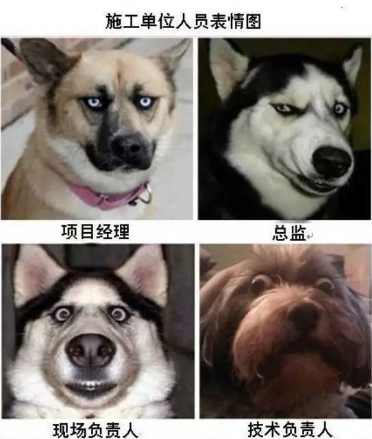 工程人是社会上的特殊人群,他们兢兢业业、不辞辛劳,为城市建设作出了很大的贡献,工程人各型各色,每个人的日常都是一部行走的表情包!以可爱的“狗狗”做图, 纯属茶余饭后乐,瞅瞅啦 工程人是社会上的特殊人群,他们兢兢业业、不辞辛劳,为城市建设作出了很大的贡献,工程人各型各色,每个人的日常都是一部行走的表情包!以可爱的“狗狗”做图, 纯属茶余饭后乐,瞅瞅啦