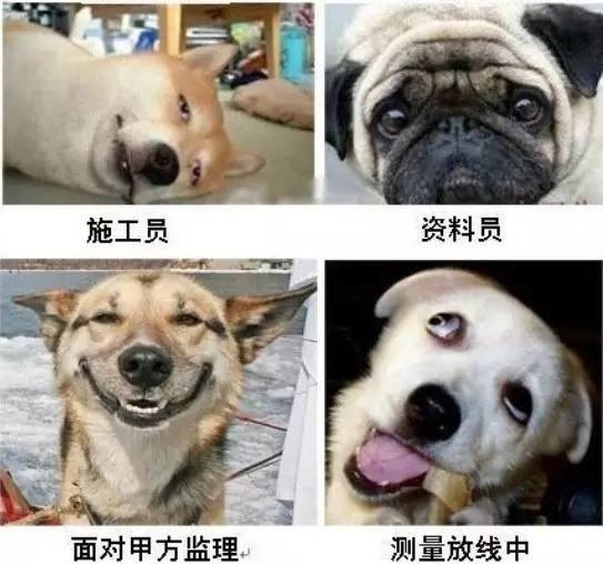 面对甲方监理,你是不是也笑的这么...... 面对甲方监理,你是不是也笑的这么......