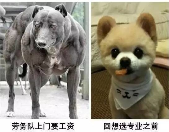 回想选前,你还是一枚纯洁的小鲜肉 回想选前,你还是一枚纯洁的小鲜肉