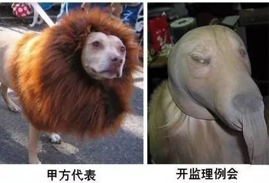 甲方代表,开监理例会 甲方代表,开监理例会