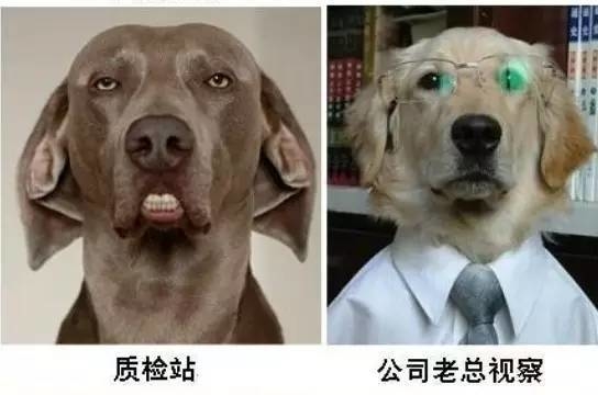 质检站,公司老总视察, 质检站,公司老总视察,