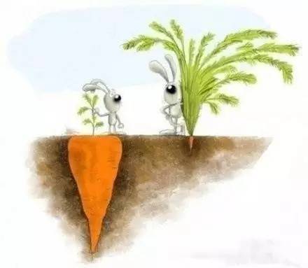 9.表面繁荣未必是好事抛开表象看实质才是人生真谛