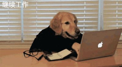 哦,原来都是加固狗 哦,原来都是加固狗