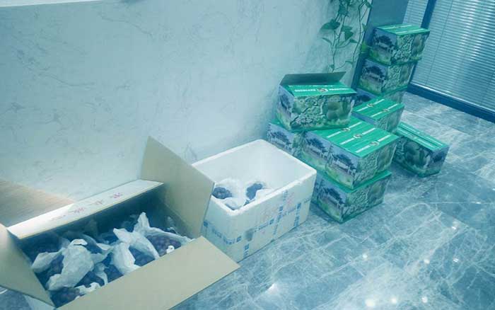 炎炎夏日，上海悍马给员工&ldquo;送清凉&rdquo;喽！