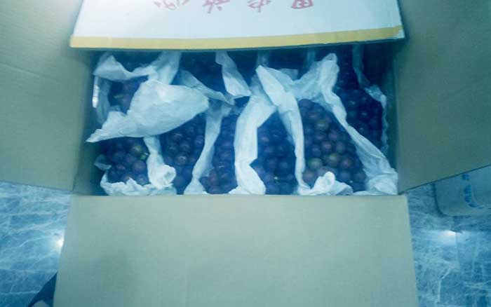 炎炎夏日，上海悍马给员工&ldquo;送清凉&rdquo;喽！