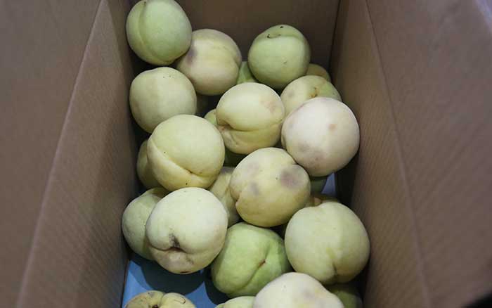 上海悍马给员工送&ldquo;桃子&rdquo;