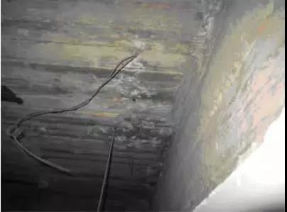 板底碱蚀、露筋 板底碱蚀、露筋