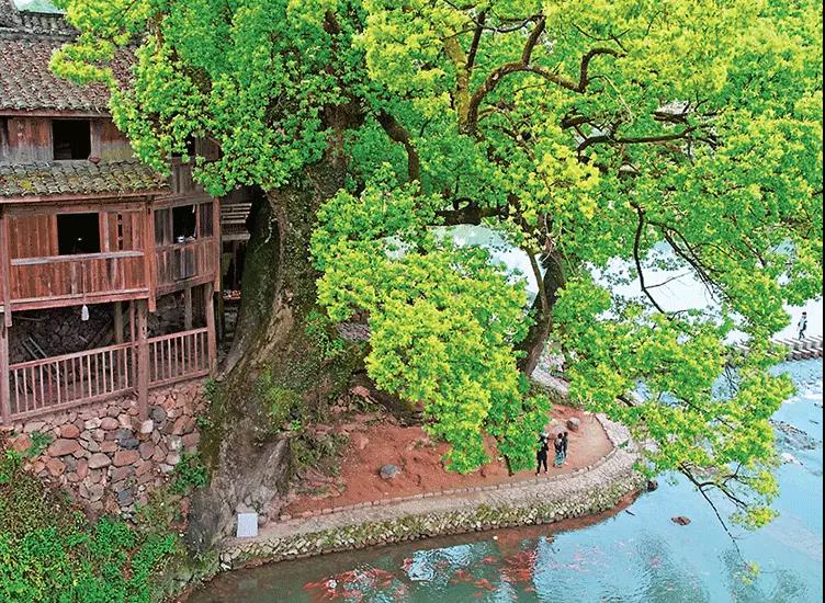 集体宿舍 集体宿舍