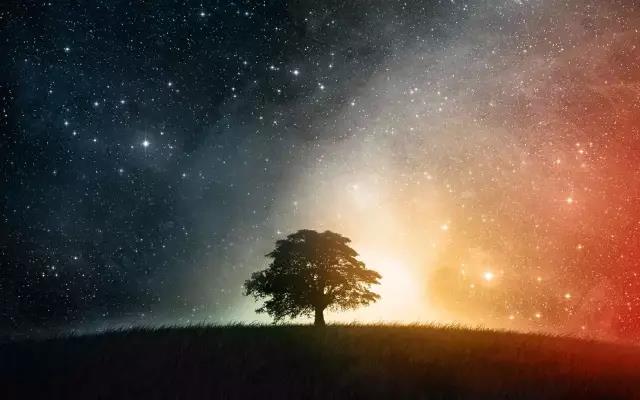 人生五不悔 人生五不悔