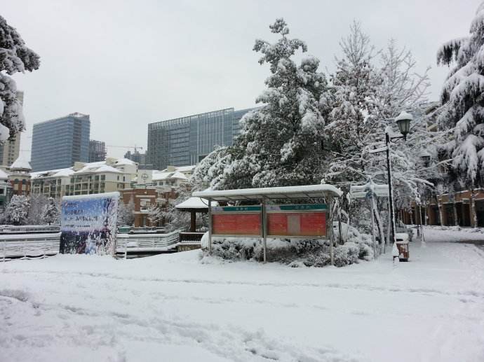 细思极恐！暴雪下的低价中标血案！