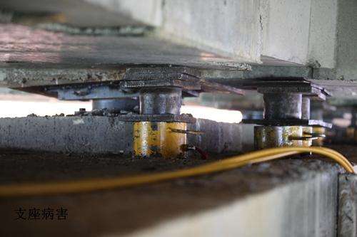 桥梁支座 桥梁支座