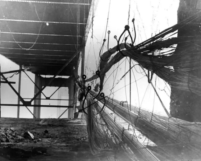 大桥的缆索 大桥的缆索