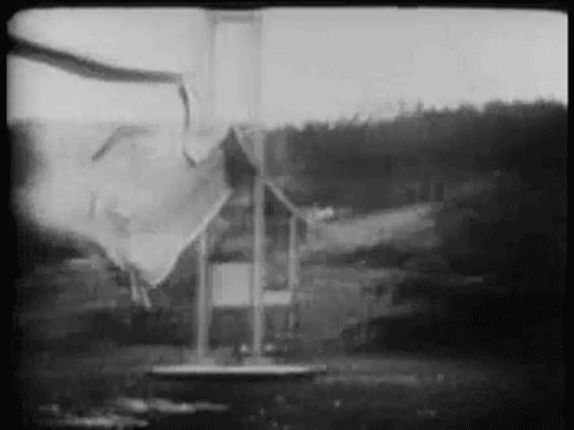 车里的卡宾犬仍然成为了事故唯一的牺牲者。 车里的卡宾犬仍然成为了事故唯一的牺牲者。