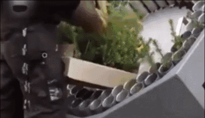 植树都用植树机