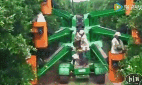 针对不同的水果德国人设计了不同的机器