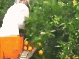 仔细观察一下每个工位都充满了黑科技