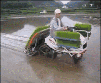 单人插秧必备神器