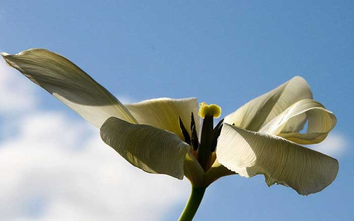 差不多就行了？