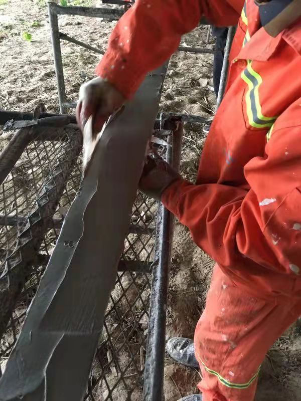 微信图片_20190331005055.jpg 微信图片_20190331005055.jpg