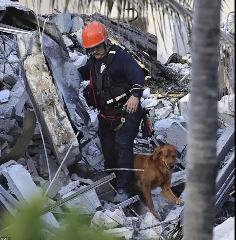 微信图片_20210629163537.jpg 微信图片_20210629163537.jpg