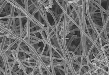 让二氧化碳变碳纤维 全球变暖问题有望突破