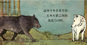 饿狼在左，善狼在右